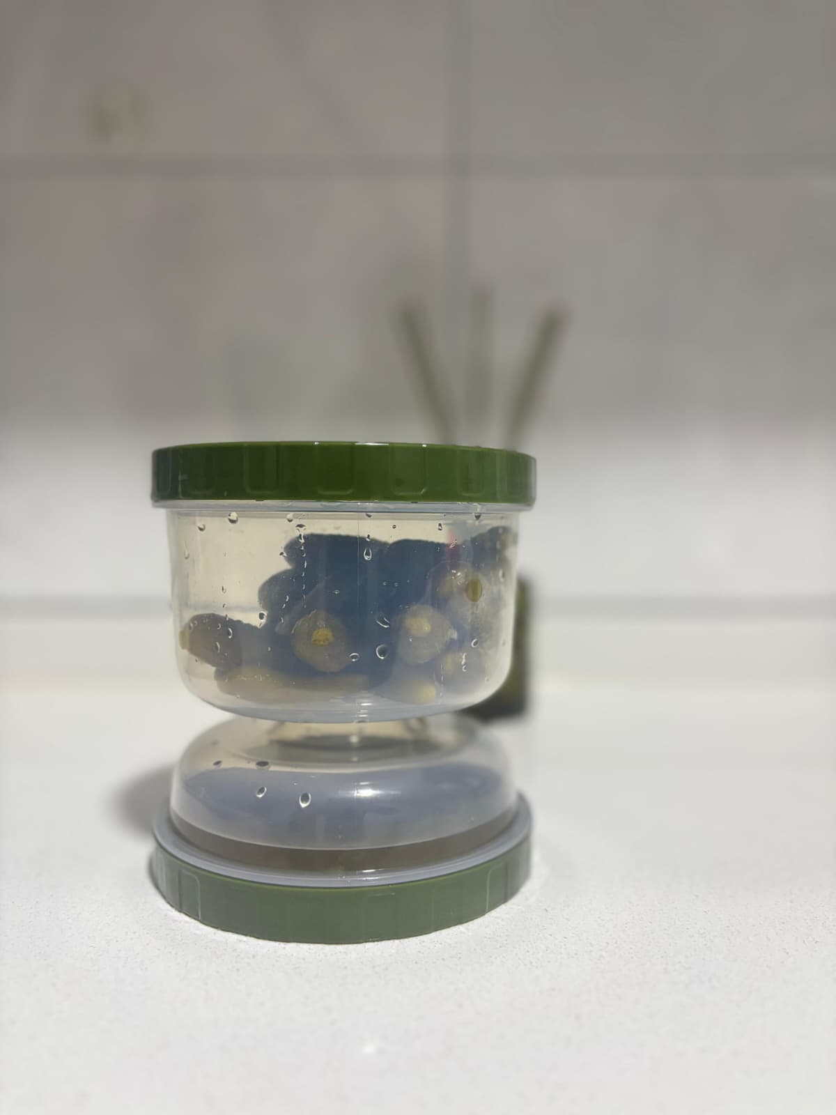 Kum Saati Zeytin Ve Turşu Saklama Kabı